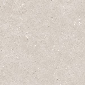 GRES PORCELANICO BLISTER GRIS